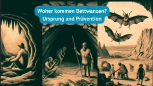 Bettwanzen woher kommen sie