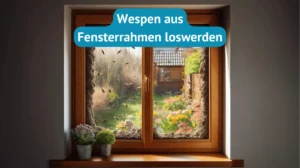 Wespen im Fensterrahmen