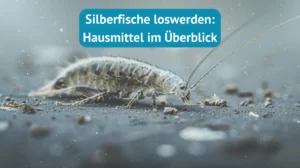 Silberfische loswerden Hausmittel