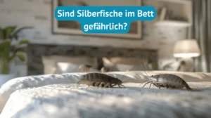 Sind Silberfische im Bett gefährlich?