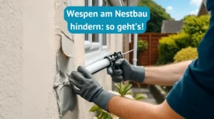 Wespen am Nestbau hindern