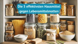 Die 5 effektivsten Hausmittel gegen Lebensmittelmotten