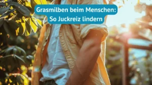 Grasmilben Mensch Behandlung