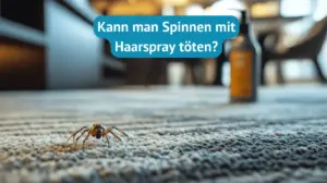 Spinne mit Haarspray töten