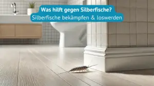 Silberfische bekämpfen und loswerden