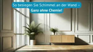 so beseitigen sie schimmel an der Wand ganz ohne Chemie